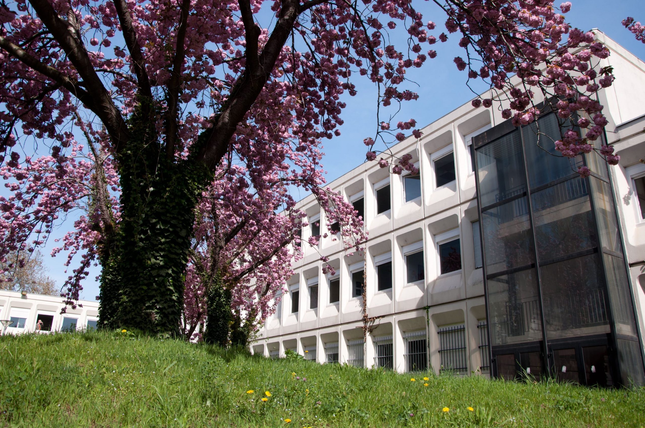 Photo©Adrien Peytavie / IUT Lyon 1